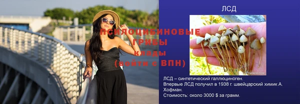 ГАЛЛЮЦИНОГЕННЫЕ ГРИБЫ Бронницы