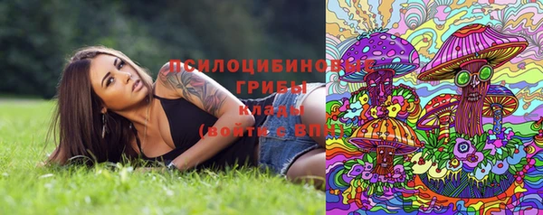 дживик Бугульма