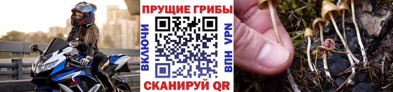 Галлюциногенные грибы Psilocybine cubensis  МЕГА рабочий сайт  Ува  что такое  